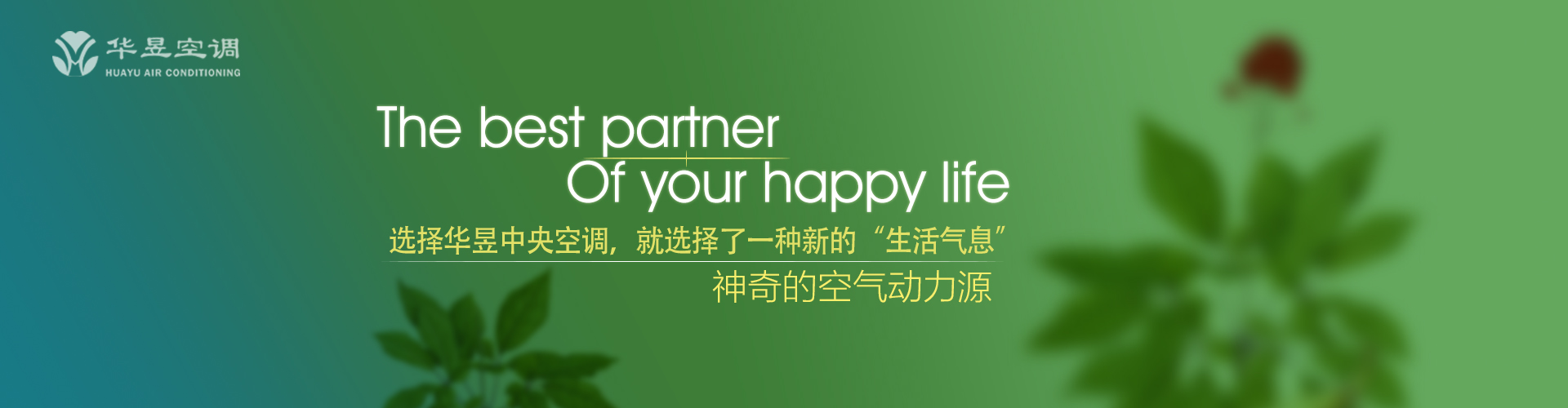摩顶至踵网